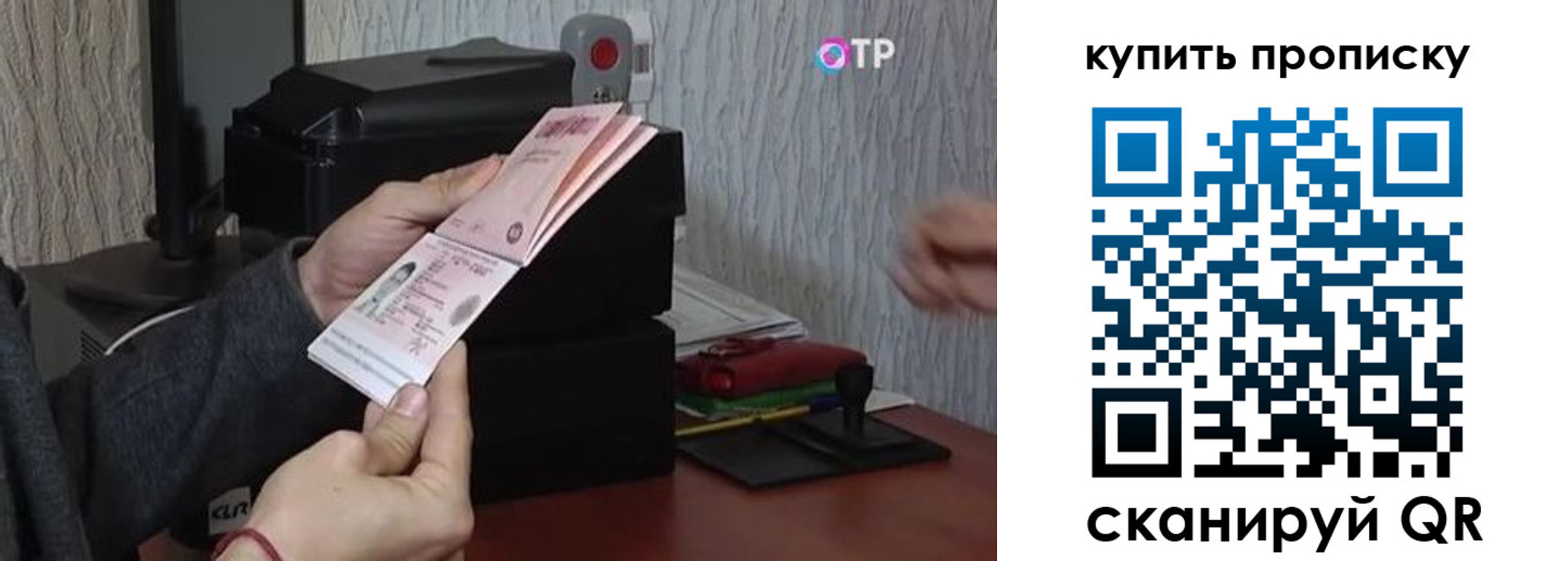 прописка гарантия в Зернограде