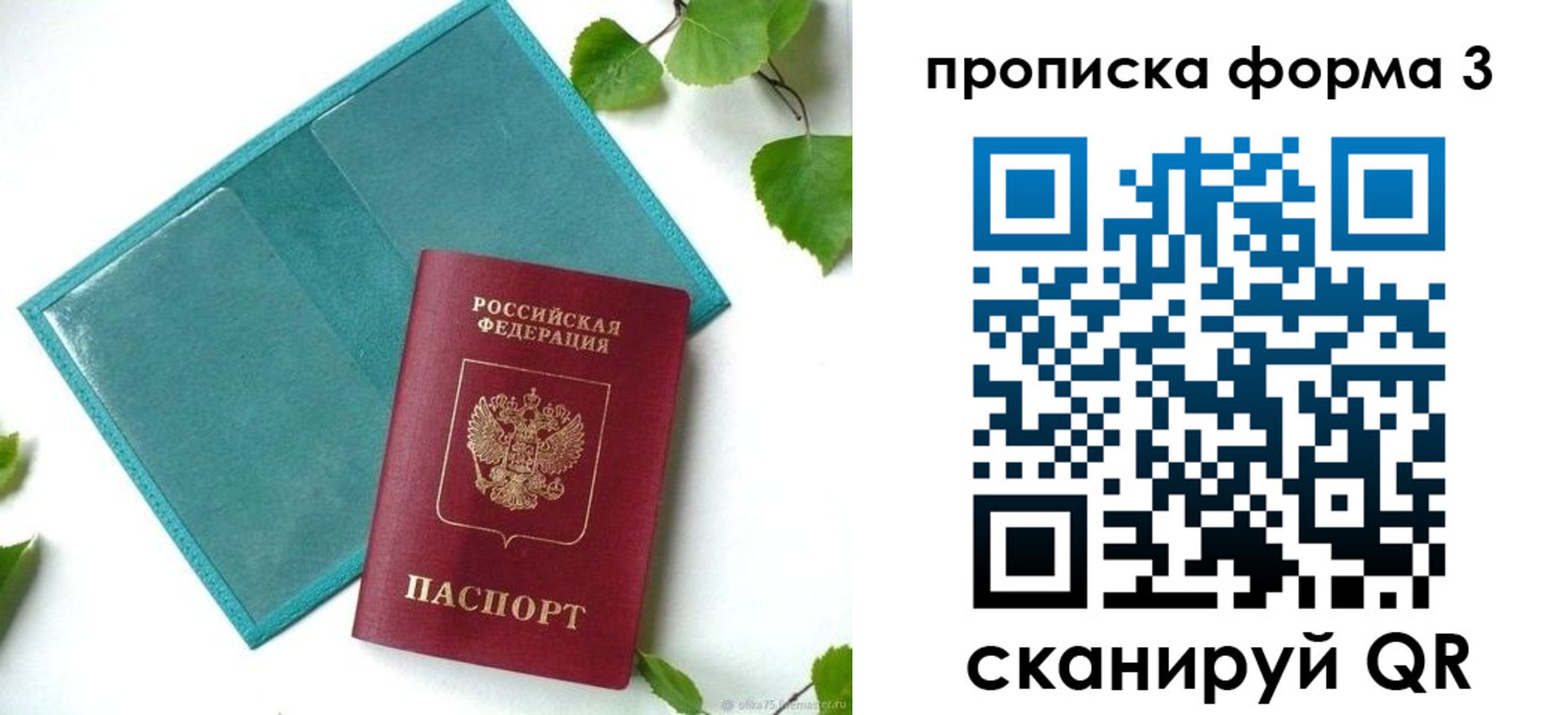 прописка ребенка в Зернограде